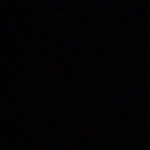 Meet your Posher, Bailey